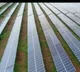 Indian scientists develop single-unit device to capture, save solar energy