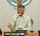 Chandrababu reviews state agriculture sector