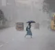 Forecast for light showers in South TN, delta districts; fog in western parts