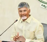 Andhra Pradesh CM welcomes zero excise duty on unbranded raw tobacco