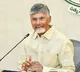 Andhra Pradesh CM welcomes zero excise duty on unbranded raw tobacco