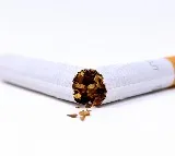 WHO Lifestyle Biggest Culprit in Cancer Cases