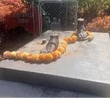 Gandhi Statue Stolen in Melbourne Australia
