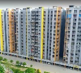 Ghaziabad Three Girls Suicide After Online Game Ban