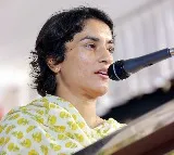 Vinesh calls out Haryana Wrestling Assoc. over 'unfair selection criteria' for Fed Cup
