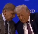 Donald Trump Trade Deal Sparks Pakistan Internal Revolt