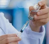 Covid vaccine not linked to decrease in fertility: Study