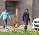 Several Delhi schools receive bomb threats, cops launch probe