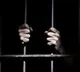 Terror accused Abdul Rahman killed inside Faridabad Jail, Kashmiri inmate arrested