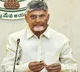 Chandrababu Naidu on AP Government Progress Report