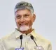 Chandrababu Naidu Focuses on Branding and Quality for Products