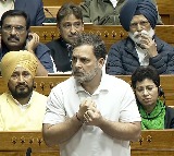 INDIA bloc would've gone to US as equals, not be equated with Pak, says Rahul Gandhi in LS
