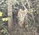 Srisailam Pilgrims Encounter Tiger on Footpath