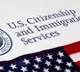 US Lawmakers Criticize ICE Chief Todd Lyons on Deportations