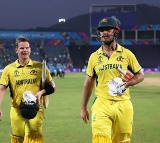 Mitchell Marsh Injured T20 World Cup Australia