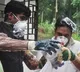 Nurse Dies After Nipah Recovery in West Bengal