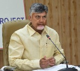 Chandrababu Naidu Reviews APs Central Budget Allocations