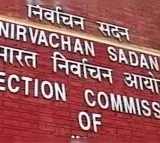 Telangana Municipal Elections EC Clarifies Ex Officio Vote Rules