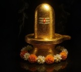 Rahul Gandhi, Kharge extend Mahashivratri greetings to countrymen