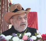 Kashmir, Northeast, Maoism tackled: HM Shah calls 2014-26 'golden chapter' in internal security