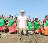 A green salute to KCR at 72: Rebuilding the Sundarbans’ natural shield