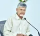 Chandrababu Naidu Condoles Family of Madanapalle Murder Victim