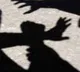 Andhra horror: Suspect in minor girl's rape, murder found dead