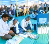 BCs won 61 per cent seats in Telangana municipal elections