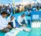 BCs won 61 per cent seats in Telangana municipal elections