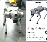 Galgotias University Cheating at AI Summit with China Robot Dog Claim