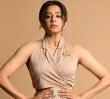 Priyamani stars in Indo American film with Mohit Raina