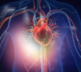 Study shows anger increases heart attack stroke risk