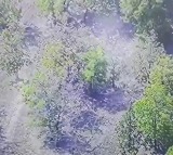 Two Maoists Killed in Encounter at Telangana Chhattisgarh Border