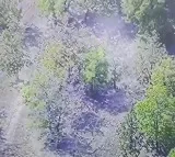 Two Maoists Killed in Encounter at Telangana Chhattisgarh Border