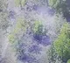 Two Maoists Killed in Encounter at Telangana Chhattisgarh Border