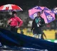 Pakistan Opts to Bat Rain Interrupts T20 World Cup Match vs New Zealand