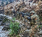 Three terrorists, including top JeM commander killed in Kishtwar anti-terrorist operation 