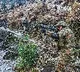 Three terrorists, including top JeM commander killed in Kishtwar anti-terrorist operation
