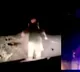 Harjind Kaur Fights off Robbers with Sword in Punjab