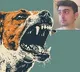 Bank Employee Ayish Vishwanath Amin Commits Suicide Fearing Rabies After Dog Bite