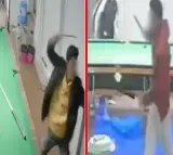 Bhopal Crime 27 Stabs in 30 Seconds by Students