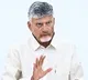 Chandrababu Naidu Serious on Rajahmundry Adulterated Milk Incident