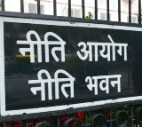 Nidhi Chhibber given additional charge as NITI Aayog CEO