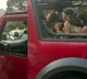 Rental Thar Kills Tourist Bhagat Ram Sharma in Goa Accident
