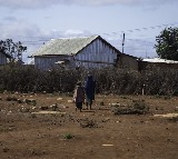 One-third of Somalis to face hunger in March: UN officials