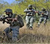 Two Maoists Killed in Encounter with Security Forces in Bijapur