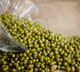 Mung Beans Benefits A Daily Diet Essential