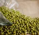Mung Beans Benefits A Daily Diet Essential