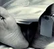 Firearms used to kill 27-year-old promoter in Howrah recovered