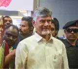 Iran war: Andhra CM directs officials to ensure safe return of stranded Telugus​